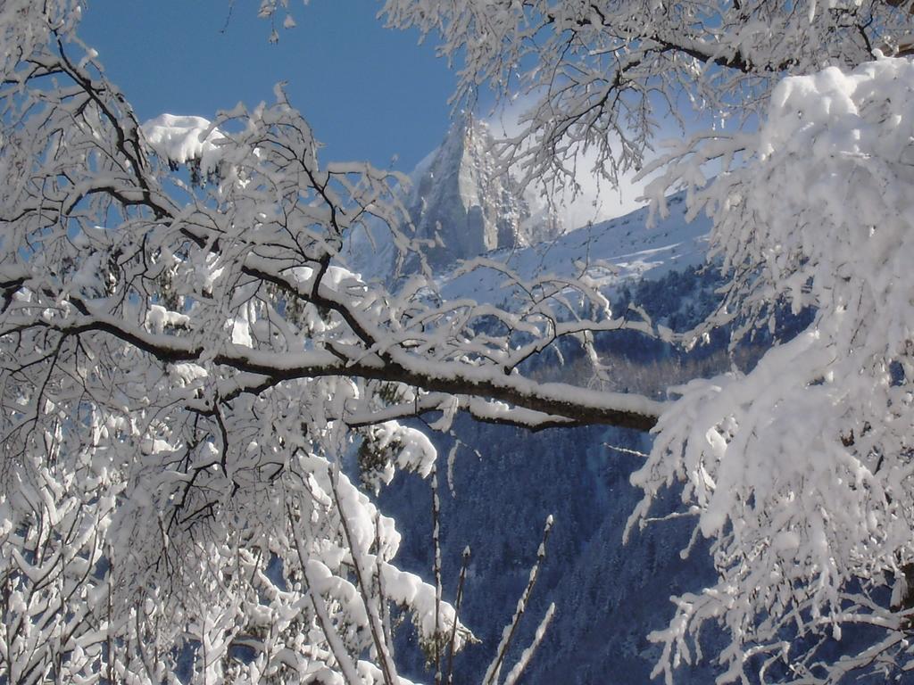 Chalet Altitude 1057 Chamonix Exterior photo