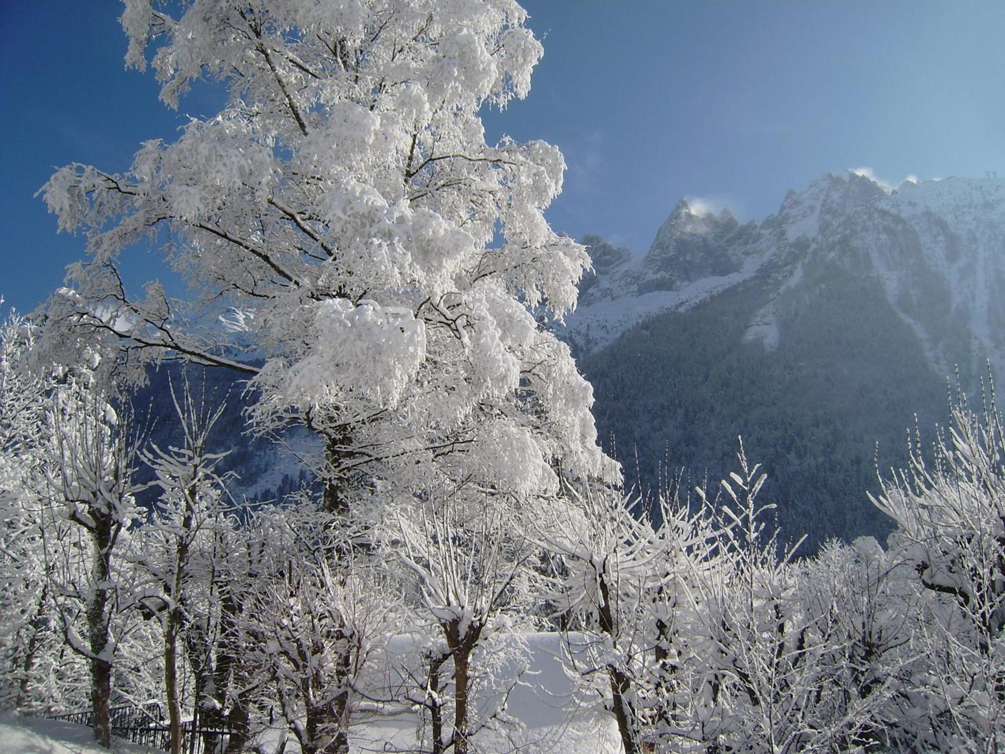 Chalet Altitude 1057 Chamonix Exterior photo